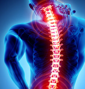How To Reduce Back Pain and Back Strains