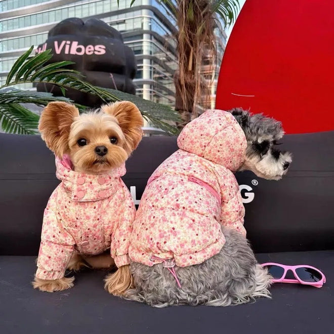 Spring Jacket