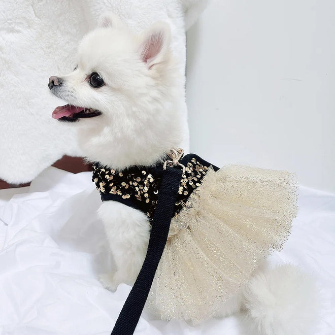 Twinkle Star Dog Dress Set | Party Dress with Matching Bow