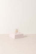 Sale - The Butterfly Collection