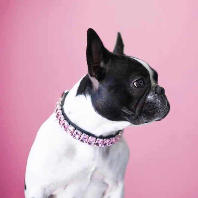 BabyDoll Collar