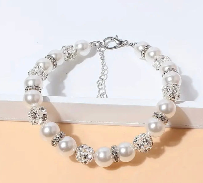 Doggy Couture Collar