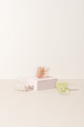 Sale - The Butterfly Collection