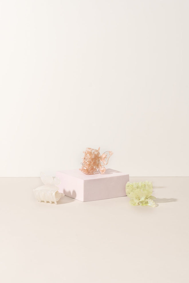Sale - The Butterfly Collection