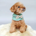 Valerie Bandana Cape for Dogs – Stylish Dog Bandana Cape