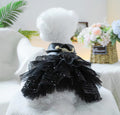 She’s a Rockstar Dog Dress | Dog Dress for Special Occasions