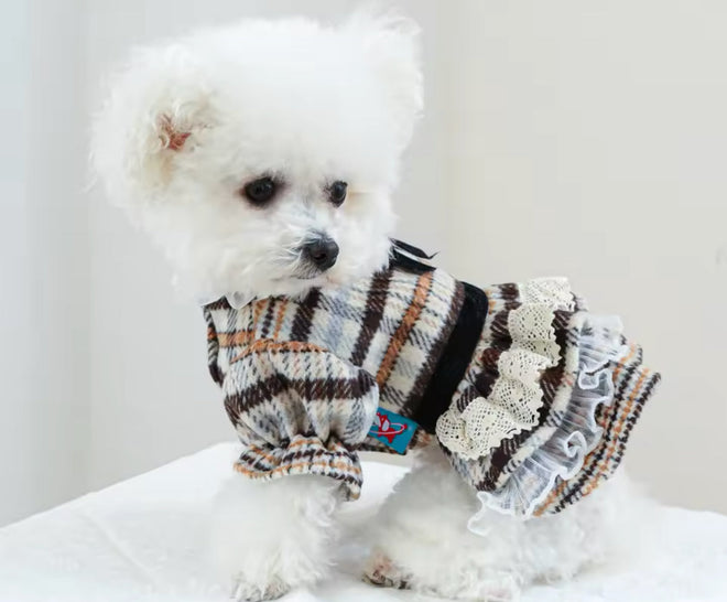 Alexis Dog Dress | Dog Dress for Everyday Wear