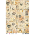 Ciao Bella Rice Paper A4 Human Anatomy