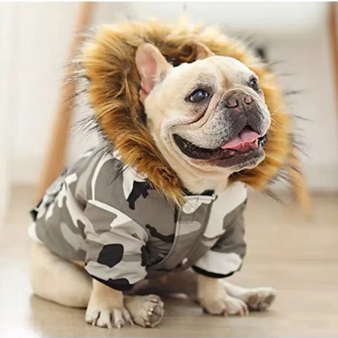 Pawkage Dog Jacket | Hooded Dog Jacket with Fur Trim
