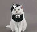 Chewnel Bandana & Beret