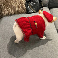 Dog Dress & Hat Set | Chewnel Tweed Dog Outfit