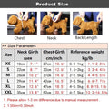 Coco Chewnel Harness Set | Dog Harness and Leash  Set