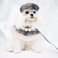 Peaky Street Tweed Dog Harness Set | Harness Hat and Leash Outfit