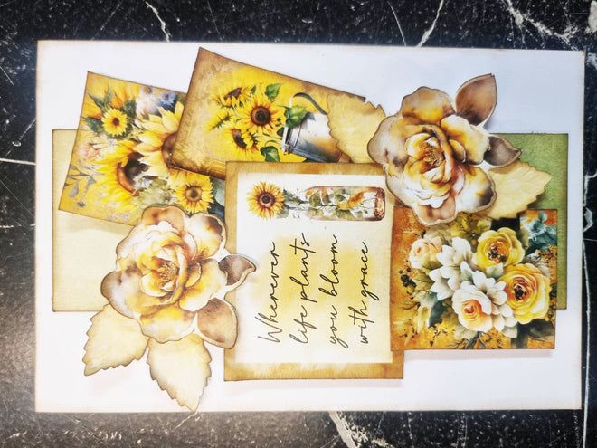 Sunflower Elixir 6x4 card pack