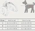 Shannon Collar & Leash Set | Dog Collar and Leash
