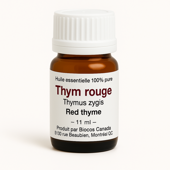 Thym rouge
