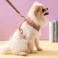 Gigi Everyday Dog Harness and Leash Set | Coordinated Walking Essentials