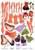 3Quarter Designs - Mini Project Sheets - Magic Fairies