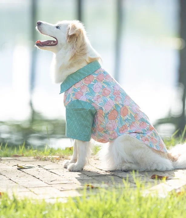 Petunia Dress/Shirt