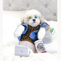 Dog Sweater Shirt | Chewy Pawtton Layered Knit