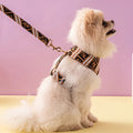 Furendi Classic Dog Harness and Leash Set | Everyday Walking Essentials
