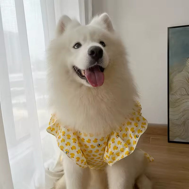 Summertime Happiness Dress Set – Luxury Large Breed Dog Dress with Hat
