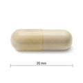 Jamieson Glucosamine 500 mg, Provides Joint Pain Relief, Osteoarthritis Support, and Cartilage Deterioration Protection. Non-GMO, Gluten-Free, 360 Capsules, Proudly Canadian 🍁 All In One Marketplace Canada