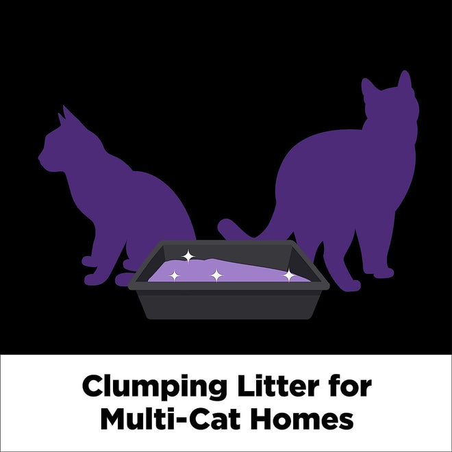 ARM & HAMMER Platinum Cat Litter, Clump & Seal, EXTRA STRENGTH Odour Control with 14 Days of Odour Control, Multi-Cat, Hard Clumping Clay, 99.99% Dust Free, 12.47kg (Pack of 1) 🍁 All In One Marketplace Canada