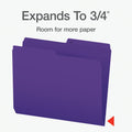 Pendaflex Colour File Folders, 1/2 Cut Tab, Letter, Violet, 100/Box 🍁 All In One Marketplace Canada