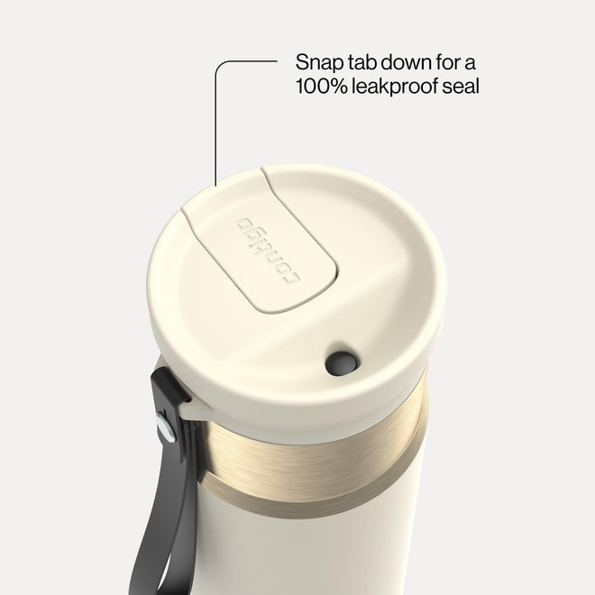 Contigo SnapSeal 24 oz Water Bottle w/Carry Strap & Reusable Straw | Vacuum-Insulated Stainless Steel for Hot & Cold Drinks | Spill-Proof Lid | BPA & Lead-Free | Dishwasher Safe 🍁 All In One Marketplace Canada