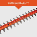 BLACK+DECKER Electric Hedge Trimmer, 17-Inch (BEHT150) 🍁 All In One Marketplace Canada