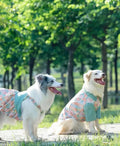 Petunia Dress/Shirt