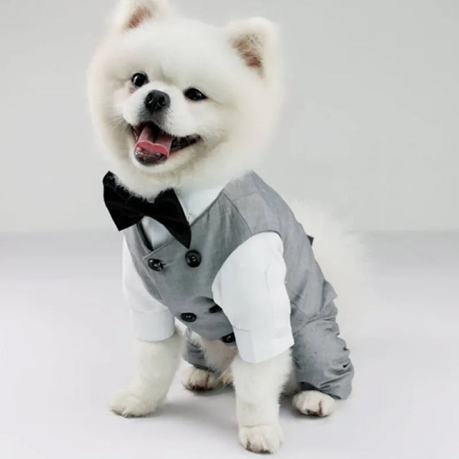 Distinguished Gentleman Two-Piece Dog Suit | Formal Dog Outfit Set