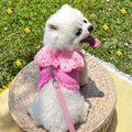 Angel Wings Dog Walking Set | Harness and Leash
