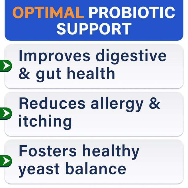 Probiotics for Dogs - Gas, Diarrhea, Allergy, Constipation, Upset Stomach Relief, w/Digestive Enzymes + Prebiotics - Chewable Supplement - Improve Digestion, Immunity - Dog Probiotics Chews - 180Ct 🍁 All In One Marketplace Canada