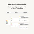 Embark Breed Identification Kit Most Accurate Dog DNA Test Test 350+ Dog Breeds Breed ID Kit with Ancestry & Family Tree 🍁 All In One Marketplace Canada
