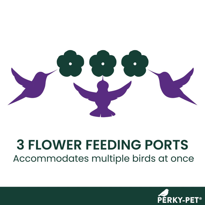 Perky-Pet 8-Ounce Window Mount Hummingbird Feeder 217 🍁 All In One Marketplace Canada
