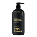 ATTITUDE Men's Shampoo and Conditioner 2-in-1, Volumizing for Thin Hair, With Rosemary and Rice Protein, 97% Natural Origin Ingredients, EWG Verified, Amber & Citrus, 946 mL 🍁 All In One Marketplace Canada