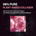 MEDIHEAL Collagen Firming Toner Pad – Korean Skincare, 98% Vegan Collagen with Retinol & 7 Peptides, Firming, Plumping & Wrinkle Care, Micro-Hole Fabric, 100 Pads 🍁 All In One Marketplace Canada
