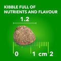 IAMS Proactive Health Minichunks Dry Dog Food – Crunchy Kibble For Adult Dogs – Lamb & Rice Recipe – 13.6KG (30LB) Bag 🍁 All In One Marketplace Canada