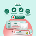 Aleva Naturals Hypoallergenic Bamboo Baby Wipes for babies with Sensitive Skin, Super Soft, Biodegradable, Extra Strong, Natural and Organic Formula, Vegan - New Eco-Friendly, Sustainable Packaging- Mega Pack- 72 Count X 12 = 864 Wipes Total