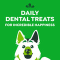 Greenies Adult Dog Treats, 1.02kg 🍁 All In One Marketplace Canada