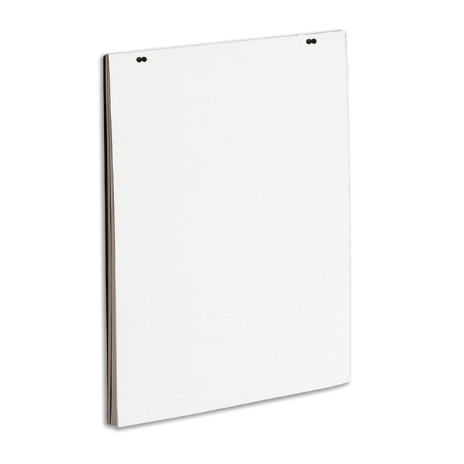 Quartet Newsprint Easel Pad, 24" x 36", 50 Sheets/Pad, Great for Meetings, Teachers, and Students (3413889603) 🍁 All In One Marketplace Canada