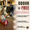 Bully Bunches Premium (12" Standard - 5 Pack) Odour-Free, Consistently Sized Bully Sticks for Medium Dogs - Long Lasting Oral Care Chews - All Natural Single Ingredient, Beef Dog Treat, No Rawhide 🍁 All In One Marketplace Canada