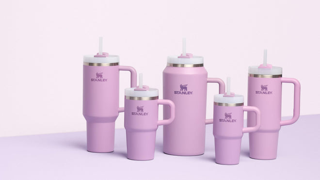 Stanley Quencher H2.0 Tumbler with Handle and Straw 20 oz Flowstate 3-Position Lid Cup Holder Compatible for Travel Insulated Stainless Steel Cup BPA-Free Lilac 🍁 All In One Marketplace Canada