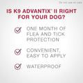 K9 Advantix II Flea & Tick Prevention – Small Dog - Vet Recommended - 2-Pk 🍁 All In One Marketplace Canada
