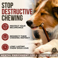 Bully Bunches Premium (6" Standard - 10 Pack) Odour-Free Bully Sticks - Small Dogs & Puppies - Consistently Sized, Long Lasting Chew Bones - All Natural & Single Ingredient, Beef Dog Treat, No Rawhide 🍁 All In One Marketplace Canada