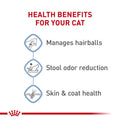 Royal Canin Indoor Long Hair Adult Dry Cat Food, 6 lb bag 🍁 All In One Marketplace Canada