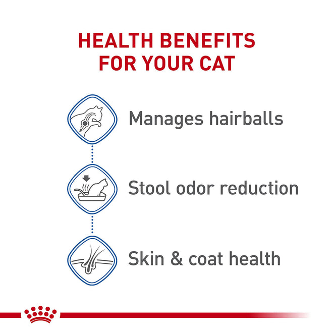Royal Canin Indoor Long Hair Adult Dry Cat Food, 6 lb bag 🍁 All In One Marketplace Canada