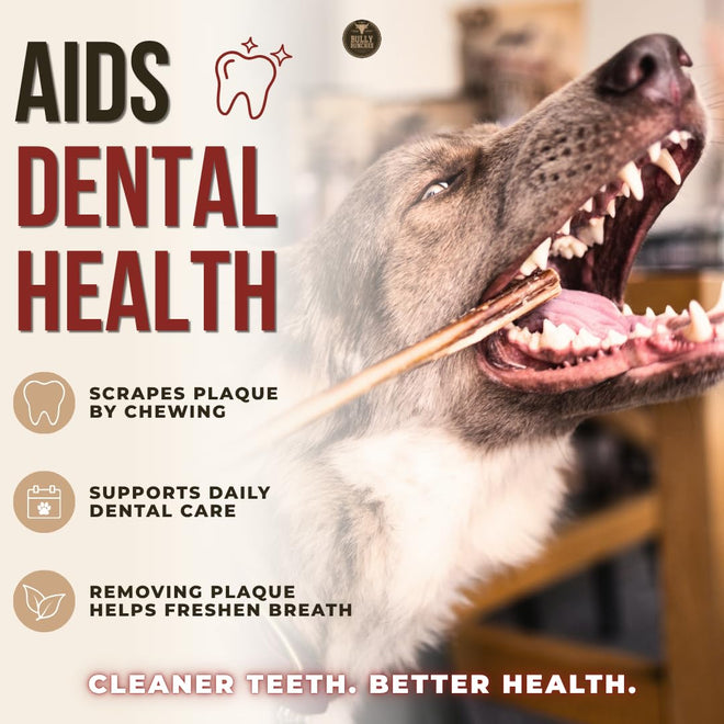 Bully Bunches Premium (6" Standard - 10 Pack) Odour-Free Bully Sticks - Small Dogs & Puppies - Consistently Sized, Long Lasting Chew Bones - All Natural & Single Ingredient, Beef Dog Treat, No Rawhide 🍁 All In One Marketplace Canada